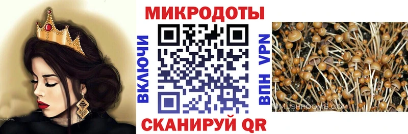 Псилоцибиновые грибы мицелий  где купить   Лысково 