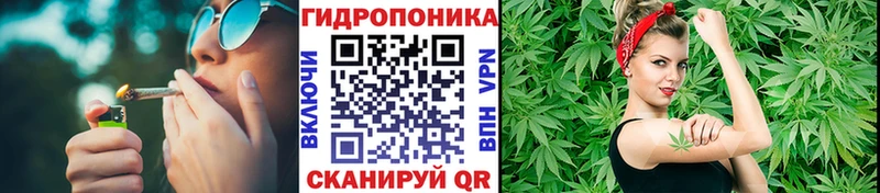Бошки Шишки THC 21%  где продают   блэк спрут зеркало  Лысково 